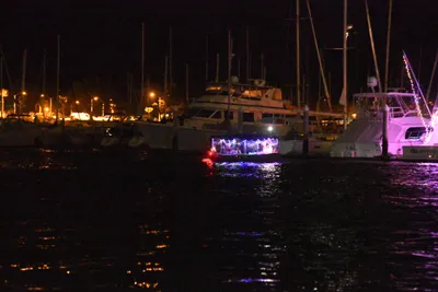 DSC_2453 (Large).JPG